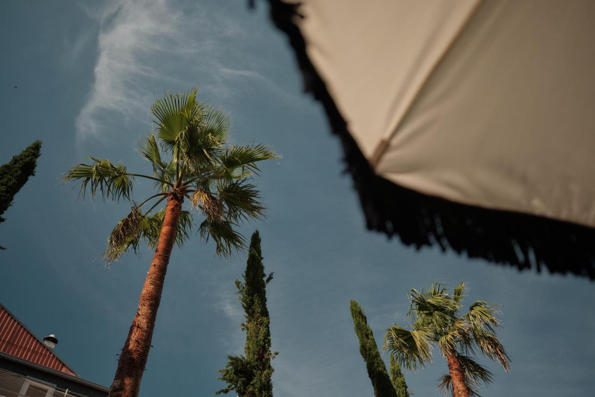 Ga Palace Hotel & Spa, A Xixth-Century Villa ポルト エクステリア 写真 Palm trees in the city